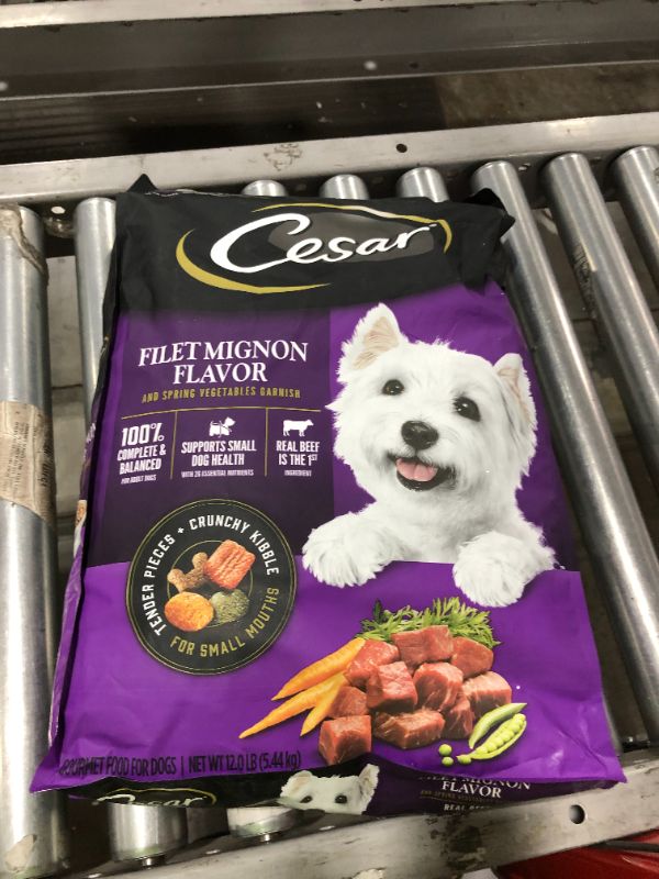 Photo 2 of CESAR Small Breed Dry Dog Food Filet Mignon Flavor with Spring Vegetables Garnish Dog Kibble, 12 lb. Bag
