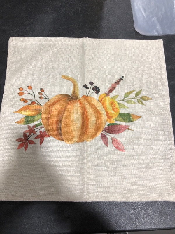 Photo 4 of FALL HARVEST THROW PILLOW COVERS, APPROX 20 X 20 INCH. PACK OF 4.