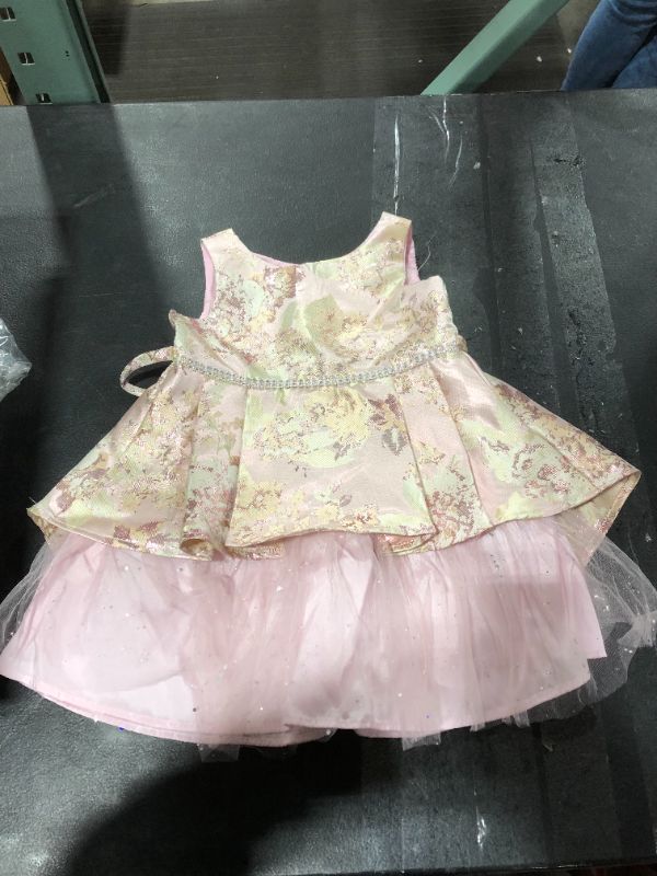 Photo 1 of YoungLand Toddlers Rose Gold Dress (2T)