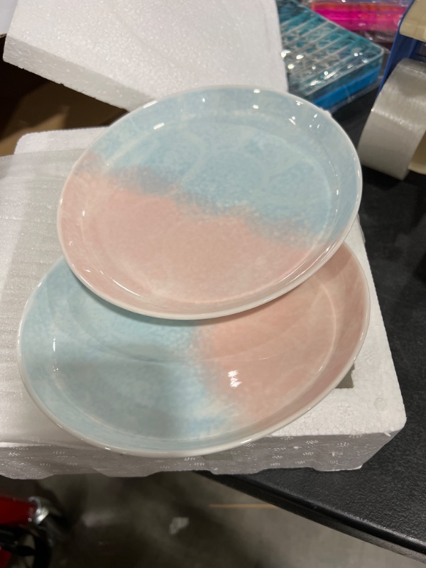 Photo 2 of DUJUST Pastel Pink & Blue Porcelain Dinner Plates of 6, 8 inch, Fresh Design, Easter/Spring Feel, Easy to Clean, Great Durability for Salad/Pasta/Steak/Cake, Chip Resistant, Microwaveable Dishes
