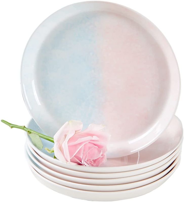 Photo 1 of DUJUST Pastel Pink & Blue Porcelain Dinner Plates of 6, 8 inch, Fresh Design, Easter/Spring Feel, Easy to Clean, Great Durability for Salad/Pasta/Steak/Cake, Chip Resistant, Microwaveable Dishes
