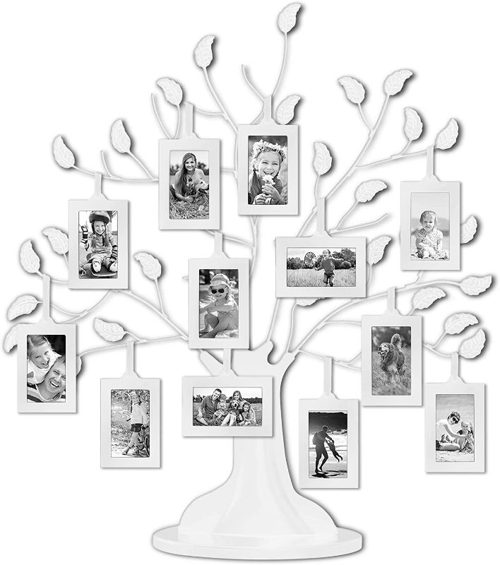 Photo 1 of Americanflat White Family Tree with 12 Hanging White 2x3 Picture Frames and Adjustable Ribbon Tassels - 22"
