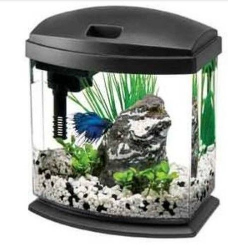 Photo 1 of Aqueon Mini Bow 1 Gal Desktop Aquarium Kit Black