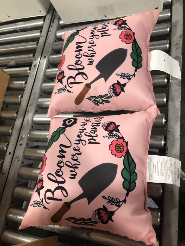 Photo 1 of 16in Pillow 2 Pack Bloom Pillows