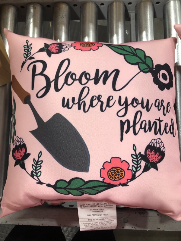 Photo 1 of 16in Pillow 2 Pack Bloom Pillows