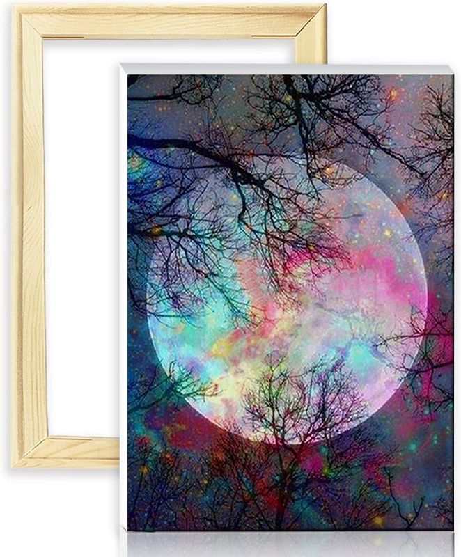 Photo 1 of decalmile DIY 5D Diamond Painting Kits for Adults Full Drill Crystal Rhinestone Embroidery Pictures Cross Stitch Arts Crafts Bright Moon ( 12x16 Inch, with Frame )
