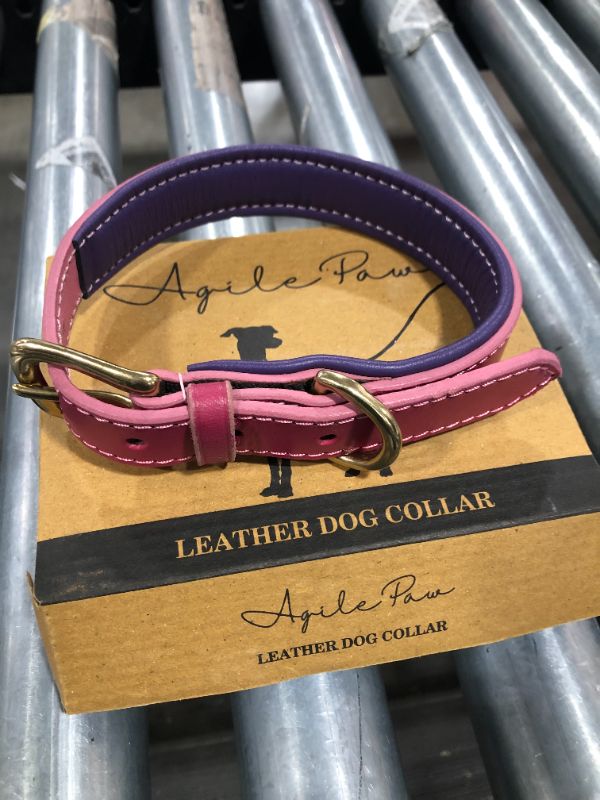 Photo 1 of Genuine Leather Dog Collars for All Breeds - Soft Inner Padding for Comfort - Saddle-Grade Leather for Maximum Strength - Durable Leather Collar with Solid Brass Buckle