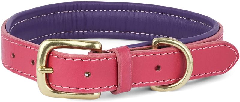 Photo 1 of Genuine Leather Dog Collars for All Breeds - Soft Inner Padding for Comfort - Saddle-Grade Leather for Maximum Strength - Durable Leather Collar with Solid Brass Buckle