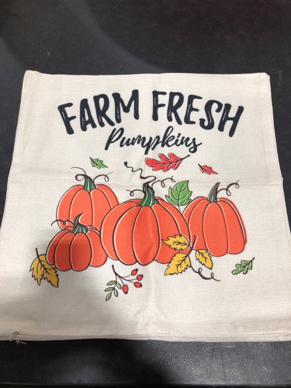 Photo 2 of FALL HARVEST DECORATIVE THROW PILLOW COVERS, 18" X 18", PACK OF 4.  