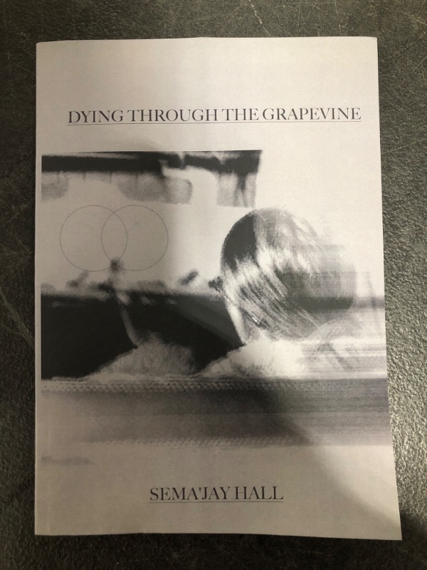 Photo 2 of Dying Through The Grapevine Paperback – February 22, 2021
