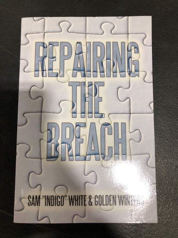 Photo 2 of Repairing the Breach PAPERBACK EDITION
