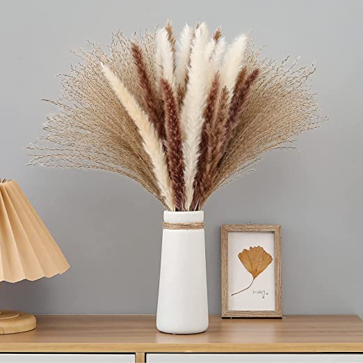 Photo 1 of 60 Pcs Pampas Grass | 15 Pcs White Pampas & 15 Pcs Brown Pampas & 30 Pcs Reed Grass/Natural Dried Pampas Grass for Flower Arrangements Boho Decor Home Decor
