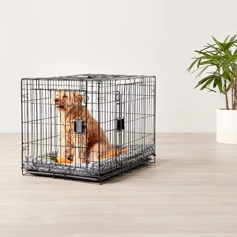 Photo 1 of Amazon Basics Foldable Metal Wire Dog Crate with Tray, Double Door, 48 Inch

