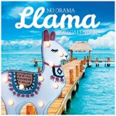 Photo 1 of 2022 Square Wall Calendar - No Drama Llama, 12 x 12 Inch Monthly View, 16-Month, Funny Corner Theme, Includes 180 Reminder Stickers
