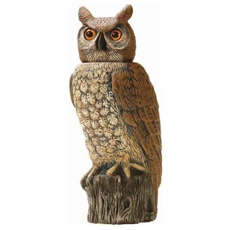 Photo 1 of Dalen 18" Rotating Head Owl