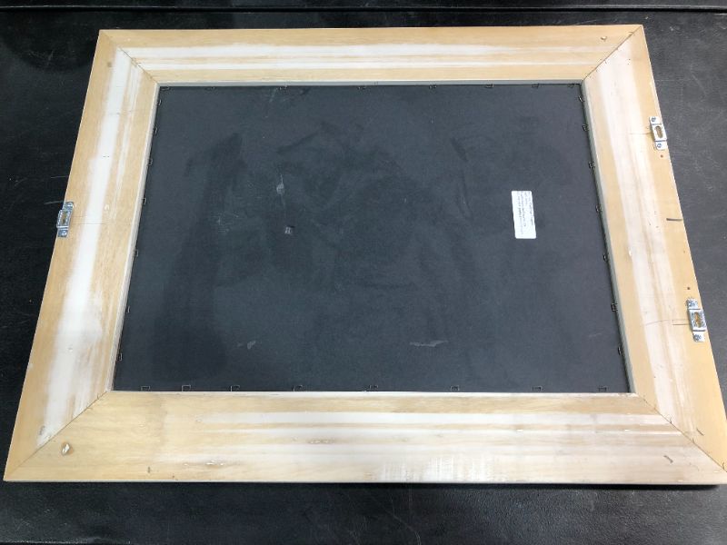 Photo 1 of MATISSE PASIPHAE ART PRINT, 24 X 31 INCHES, BORDERED IN WHITE