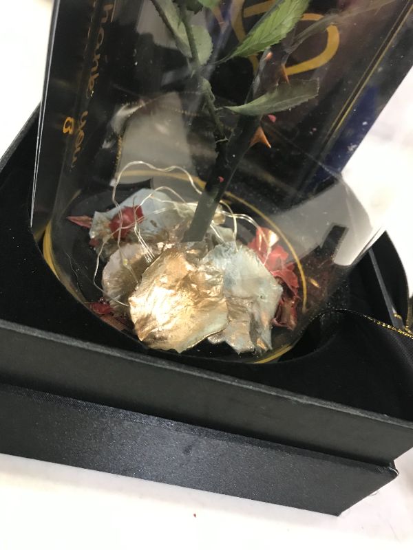Photo 2 of ETERNAL GOLD ROSE PRESERVED FLOWER GIFT AND LED LIGHT IN GLASS DOME DAMAGES TO BOW