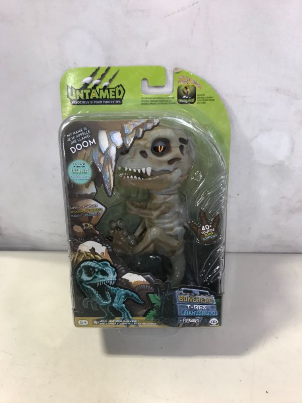 t rex skeleton price