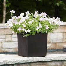 Photo 1 of Citadel Cube 14 in. x 14 in. Slate Rubber Self-Watering Planter
