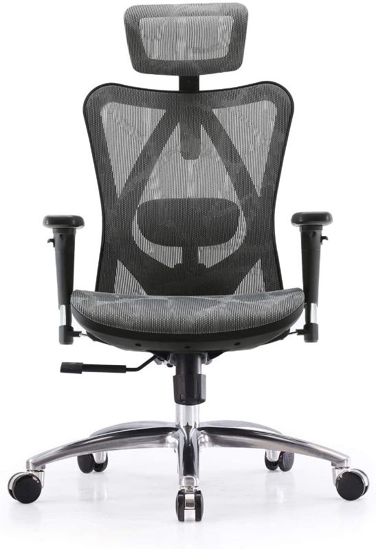 Photo 1 of SIHOO Ergonomic Mesh Office Chair, Computer Desk Chair with 3-Way Armrests, 2-Way Lumbar Support and Adjustable Headrest, High Back Home Office Chair with Tilt Function, Mesh Back and Seat(Grey)
