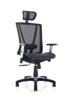 Photo 1 of ErgoMax Black Mesh Office Chair
