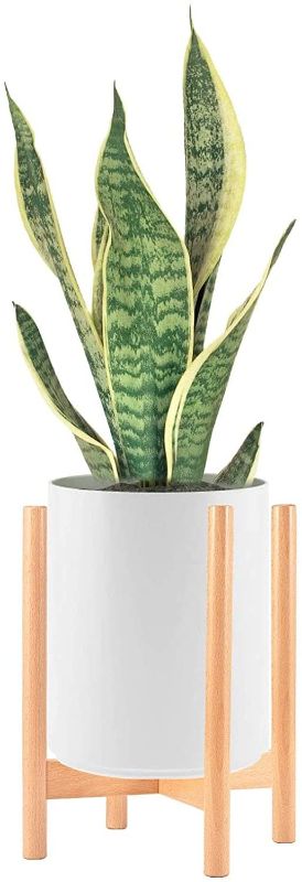Photo 1 of Z&L HOUSE Plant Stand Indoor Flower Shelf, 10inch Two Height Adjustable, Classic Mid Century Modern Wooden Plant Holder for All Home Decor Styles (Potted Plants Not Included)