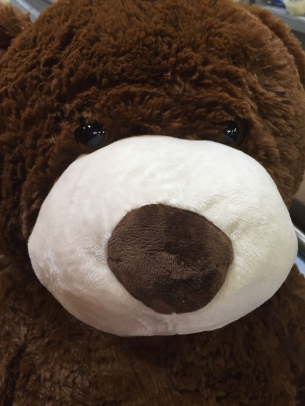 Photo 3 of bear plush toy stuffed animal