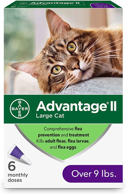 Photo 1 of Advantage II 6-Dose Large Cat Flea Prevention, Flea Prevention for Cats, Over 9 Pounds
