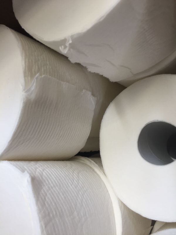 Photo 1 of 15 CHARMIN TOILETRY PAPER ROLLS, OUT OF PACKAGING 