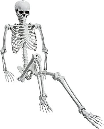 Photo 1 of 5.4ft/165cm Halloween Realistic Full Body Skeleton Life Size Human Bones with Movable Joints for Halloween Party Prop Decoration
