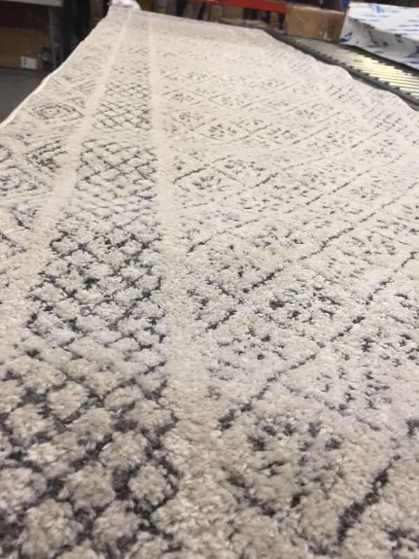 Photo 3 of 2.5x10ft runner rug