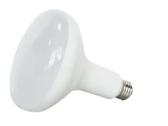 Photo 1 of 75-Watt Equivalent BR40 Dimmable ENERGY STAR LED Light Bulb Daylight 5000K (2-Pack, 4PACK---8 LIGHTS IN TOTAL)
