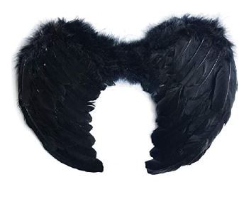 Photo 1 of DXBVS Angel Wings Feather Cosplay Halloween Party Costumes Feather Angel Wing for Kids Adults Women (Black/5540)
