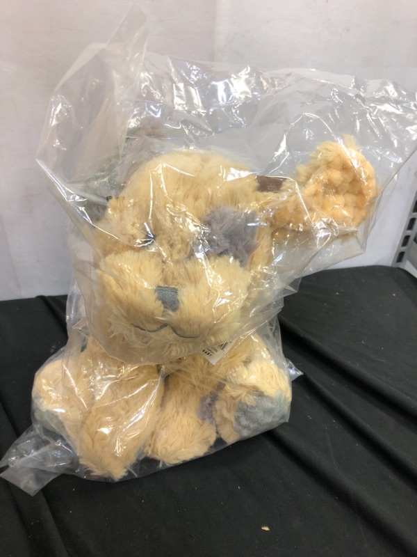 Photo 2 of Christian Brands D4695 11 in. Plush Toy Puppy
