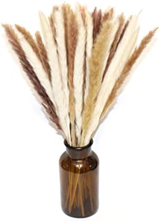 Photo 1 of Boho Pampas Grass Decor, 40 Pcs Brown and White Small Pampas Reeds, Natural Dried Plants for Home Décor by KABYTWO
