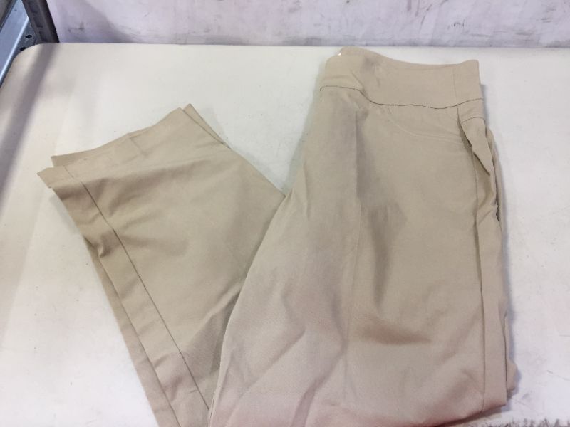 Photo 1 of WOMEN'S PANTS SIZE 16W