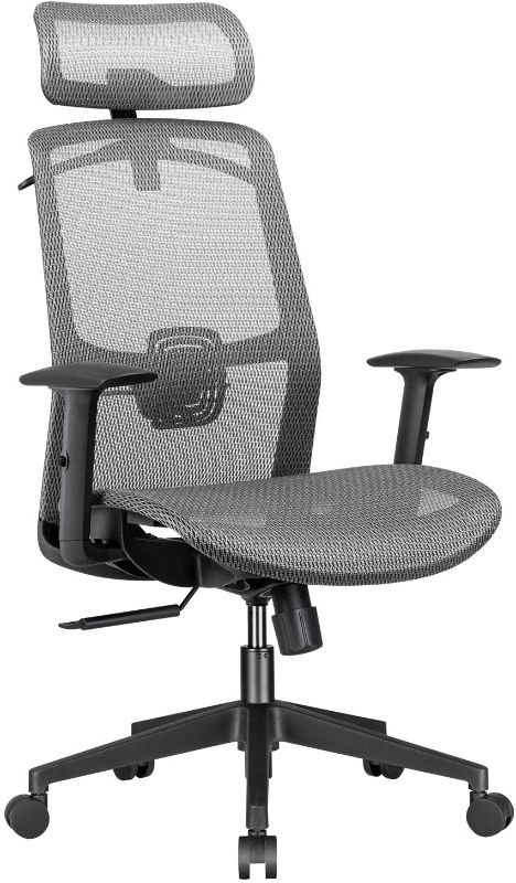 Photo 1 of Furmax Ergonomic Office Chair Executive Chair with Mesh Seat High Back Computer Desk Chair with Adjustable Headrest Lumbar Support Armrest Rolling Task Chair with Clothes Hanger (Gray)
