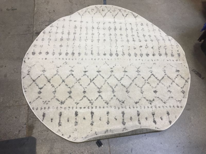 Photo 1 of 5' round rug