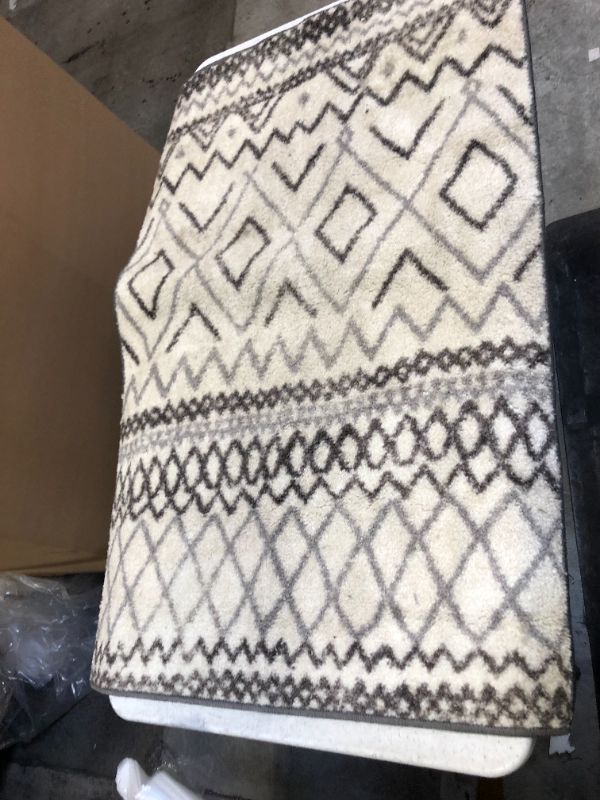 Photo 1 of 46"x30" area rug
