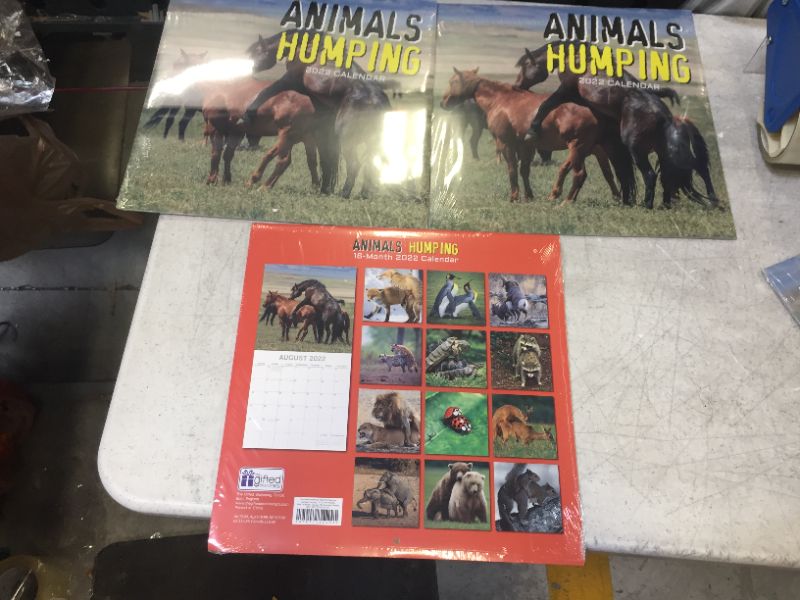 Photo 2 of 16-Month 2022 Animals Calendar with 180 Reminder Stickers (12 x 12 In) --- 3 pack ===
