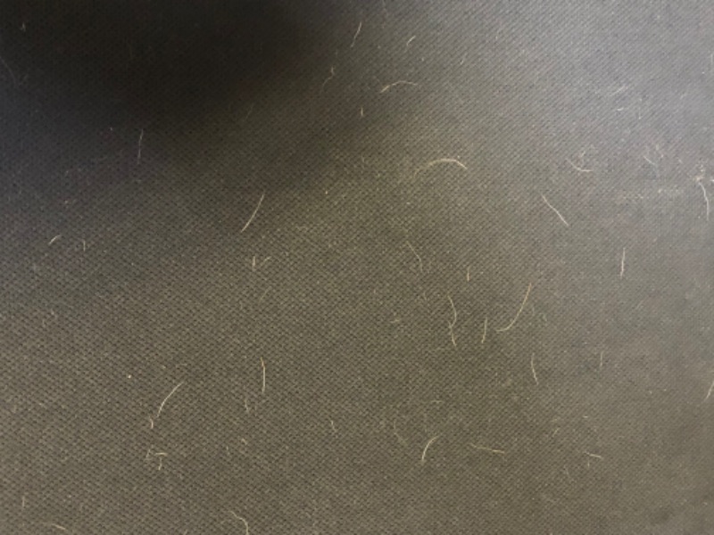 Photo 5 of computer office chair unknown make or model / has pet hairs missing hardware possibly