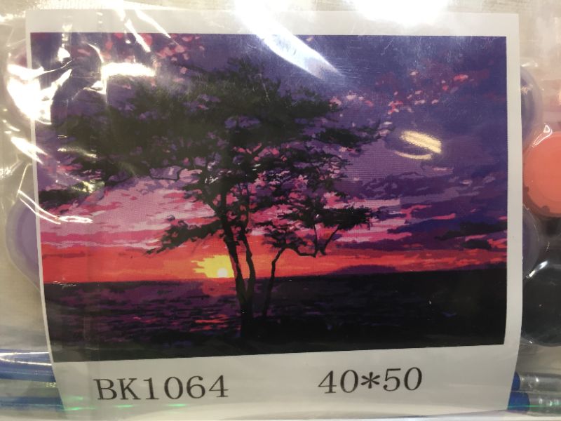 Photo 3 of 3 piece canvas kit paint art Wonderful Sunset