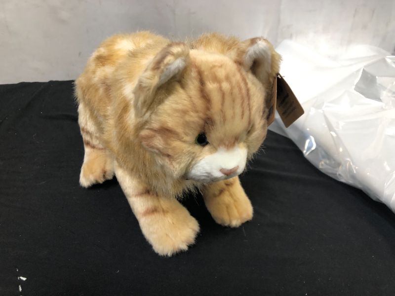 Photo 2 of DEMDACO Large Maine Coon Cat Striped Ginger Children's Plush Stuffed Animal Toy
