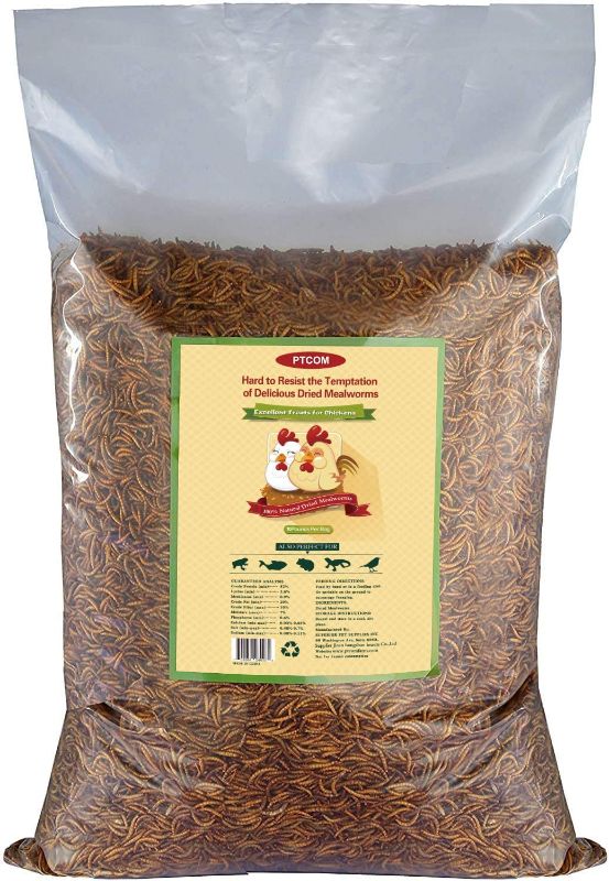 Photo 1 of 10lbs Bulk Non-GMO Dried Mealworms for Reptile , Tortoise ; Amphibian ,Lizard ;Wild Birds; Chichens; Duck etc EXPIRES 9//2023
