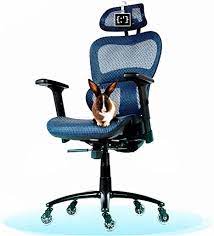 Photo 1 of NOUHAUS Ergo3D Ergonomic Office Chair - Rolling Desk Chair with 4D Adjustable Armrest, 3D Lumbar Support and Blade Wheels - Mesh Computer Chair, Gaming Chairs, Executive Swivel Chair (Blue)