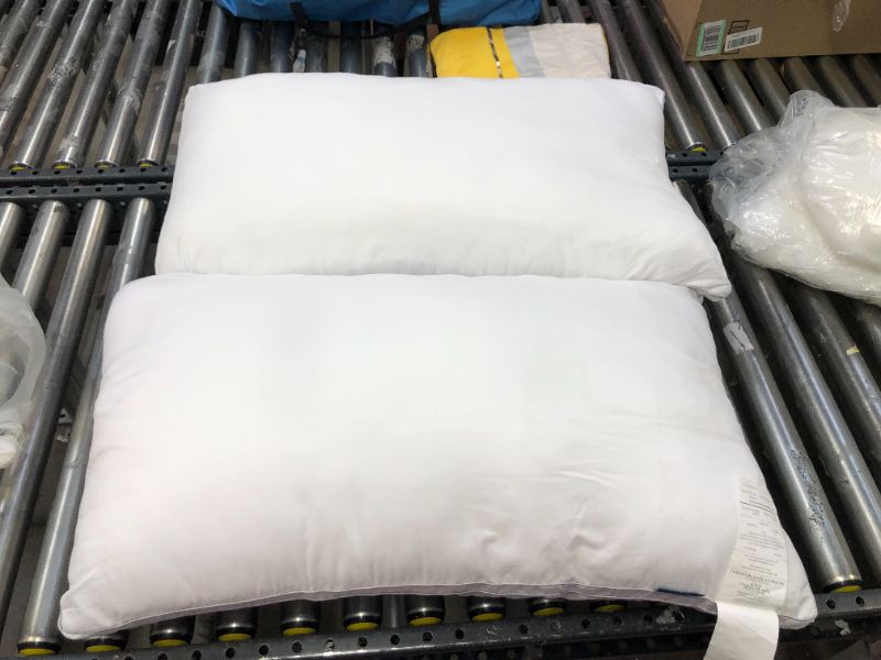 Photo 1 of 2 Pk 20"X34" pillows 