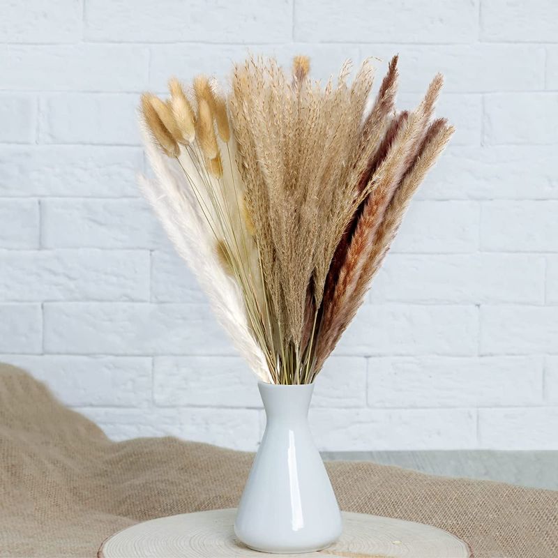 Photo 1 of 80 Pcs 23 inch Natural Dried Pampas Grass - 20 Pcs White Pampas & 20 Pcs Brown Pampas & 20 Pcs Reed Grass & 20 Pcs Bunny Tails Pampas, Natural Dried Bouquet for Home Decor, Boho Decor, Wedding