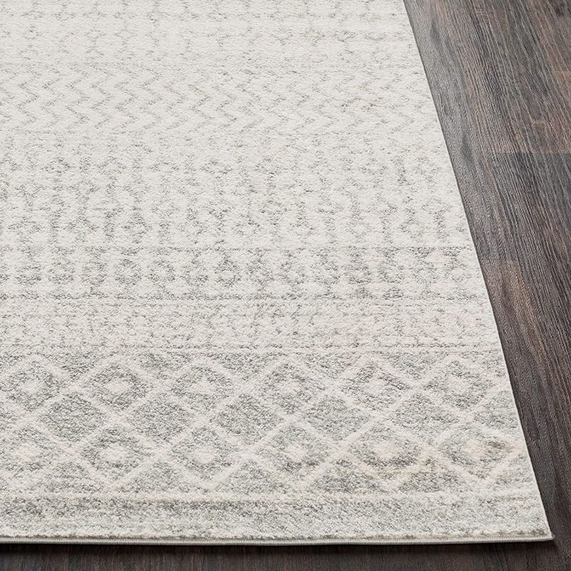 Photo 1 of Artistic Weavers Chester Boho Moroccan Runner Area Rug,2'7" x 10',Grey
