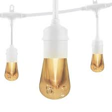 Photo 1 of Enbrighten 12-Bulb 24 ft. Vintage Cafe Integrated LED String Lights, White