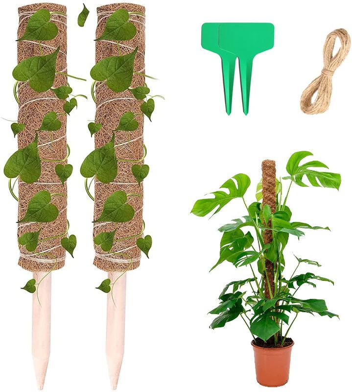 Photo 1 of BAINFE Moss Pole for Climbing Plants, Each 12 Inch Coir Poles, Plant Monstera Support Pole for Training Climbing Indoor Potted Plants Grow,Support Indoor Plants to Grow Upwards
